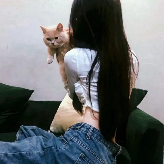 恐龙